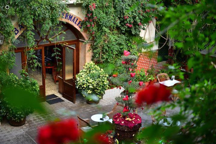 فندق Balneario La Encarnacion لوس الكاثاريس المظهر الخارجي الصورة