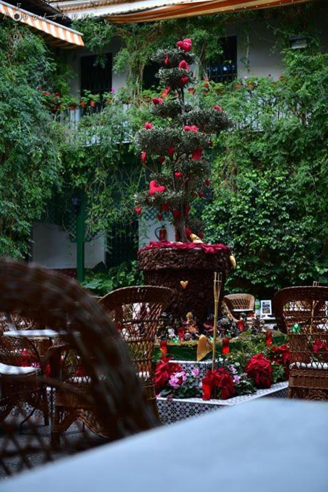 فندق Balneario La Encarnacion لوس الكاثاريس المظهر الخارجي الصورة